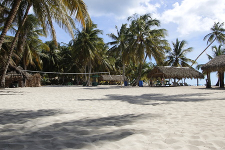 Beach with white sand, palm trees and gazebos with a volleyball courtのeditorial素材