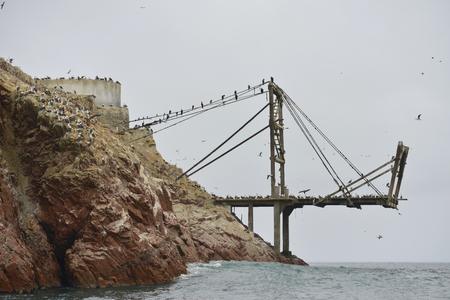 Paracas National Reservation, Ballestas Islands, home to many species of birds. The Islands off the coast of Peru are popular tourist destination.の写真素材