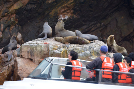 BALLESTAS ISLANDS, Paracas, Peru - AUGUST 30: A boats With tourists watching a sea lions colony on August 30, 2015 in islands Ballestas, Peruのeditorial素材