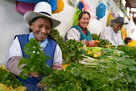 CUZCO, PERU - SEPTEMBER 12: Unidentified people at the Cuzco market on September 12, 2015 in Cuzco, Peruのeditorial素材
