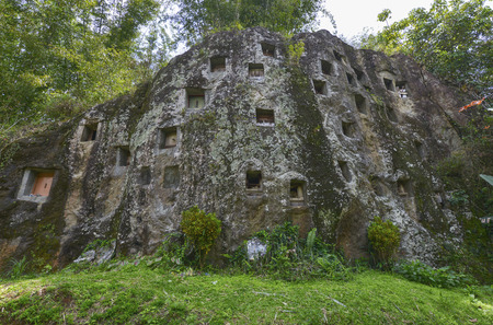 Galleries of tau-tau guard the grave. Lemo burial site is old cliffs in Tana Toraja, Sulawesi, Indonesiaの写真素材