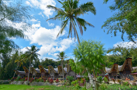 Tana Toraja, Sulawesi, Indonesia - August 15: Tongkonan traditional houses on August 15, 2016 in Tana Toraja, Sulawesi, Indonesiaのeditorial素材