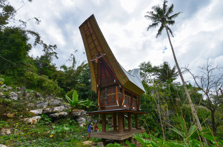 Tana Toraja, Sulawesi, Indonesia - August 15: Tongkonan traditional houses on August 15, 2016 in Tana Toraja, Sulawesi, Indonesiaのeditorial素材