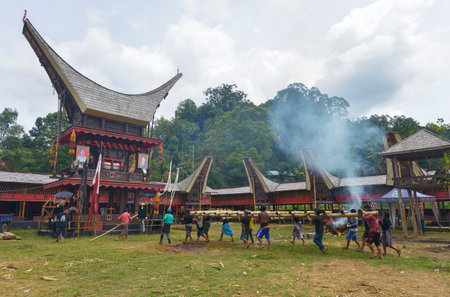 Tana Toraja, Sulawesi, Indonesia - August 15: Funeral ceremony on August 15, 2016 in Tana Toraja, Sulawesi, Indonesia. In Tana Toraja the funeral ritual is The most elaborate and expensive evenのeditorial素材
