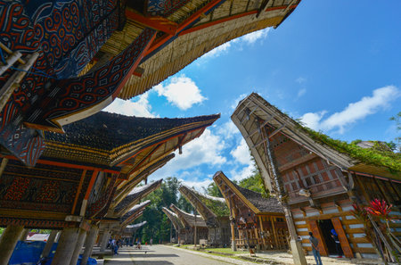 Tana Toraja, Sulawesi, Indonesia - August 15: Tongkonan traditional houses on August 15, 2016 in Tana Toraja, Sulawesi, Indonesiaのeditorial素材