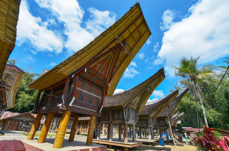 Tana Toraja, Sulawesi, Indonesia - August 15: Tongkonan traditional houses on August 15, 2016 in Tana Toraja, Sulawesi, Indonesiaのeditorial素材