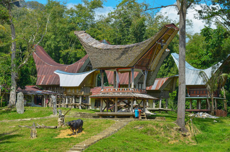 Tana Toraja, Sulawesi, Indonesia - August 15: Tongkonan traditional houses on August 15, 2016 in Tana Toraja, Sulawesi, Indonesiaのeditorial素材