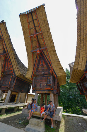 Tana Toraja, Sulawesi, Indonesia - August 15: Tongkonan traditional houses on August 15, 2016 in Tana Toraja, Sulawesi, Indonesiaのeditorial素材