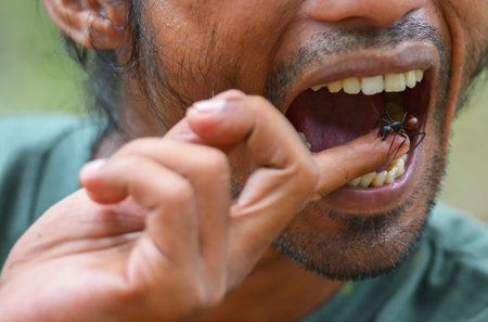 Bukit Lawang, Sumatra, Indonesia - August 23: An unidentified man with an ant on His finger on August 23, 2016 in Bukit Lawang, Sumatra, Indonesiaのeditorial素材