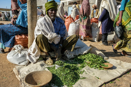 Hawzien, Tigray, Ethiopia - January 10: An unidentified man selling khat in the Hawzien market on January 10, 2018 in Hawzien, Tigray region, Ethiopia.のeditorial素材