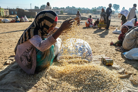 Hawzien, Tigray, Ethiopia - January 10: An unidentified woman selling corn at the Hawzien market on January 10, 2018 in Hawzien, Tigray region, Ethiopia.のeditorial素材