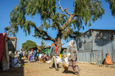 Hawzien, Tigray, Ethiopia - January 10: Unidentified people in the Hawzien market on January 10, 2018 in Hawzien, Tigray region, Ethiopia.のeditorial素材