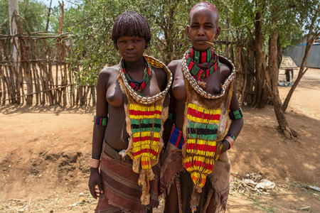 Turmi, Ethiopia - January 25: Unidentified Hamer tribe women. Hamer woman usually comb their hairs...