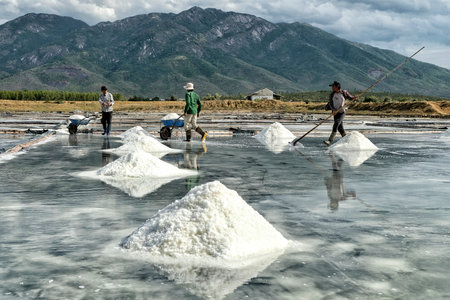 Nha Trang, Vietnam - August 16: Men organize salt into piles at the Hon Khoi salt fields on August 16, 2018 in Nha Trang, Vietnam.のeditorial素材