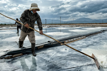 Nha Trang, Vietnam - August 16: Men organize salt into piles at the Hon Khoi salt fields on August 16, 2018 in Nha Trang, Vietnam.のeditorial素材