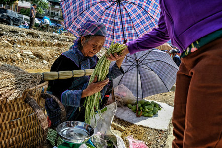 Bac Ha, Vietnam - August 26: Hmong women with traditional dress selling vegetables in the market on August 26, 2018 in Bac Ha, Vietnam.のeditorial素材