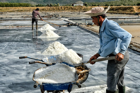 Nha Trang, Vietnam - August 16: Men organize salt into piles at the Hon Khoi salt fields on August 16, 2018 in Nha Trang, Vietnam.のeditorial素材