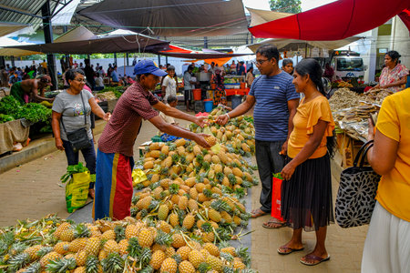 Polonnaruwa, Sri Lanka - February 2020: A man selling pineapples in the Polonnaruwa market on February 11, 2020 in Polonnaruwa, Sri Lanka.のeditorial素材