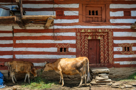 Manali, India - June 2021: Traditional houses in the Old Manali neighborhood on June 25, 2021 in Manali, Himachal Pradesh, India.のeditorial素材