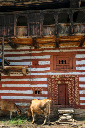 Manali, India - June 2021: Traditional houses in the Old Manali neighborhood on June 25, 2021 in Manali, Himachal Pradesh, India.のeditorial素材