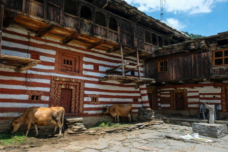 Manali, India - June 2021: Traditional houses in the Old Manali neighborhood on June 25, 2021 in Manali, Himachal Pradesh, India.のeditorial素材