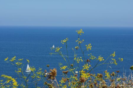 blue sea and perfect destination to travel in spain laredoの写真素材