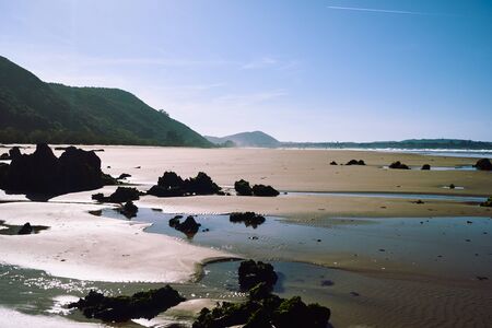 nature and relax in the coastの写真素材