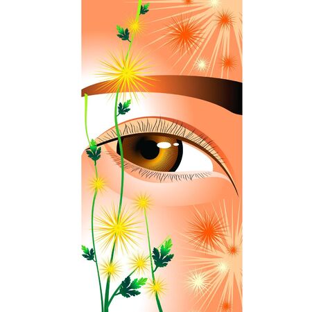 Eyes like a flower chrysanthemumsのイラスト素材