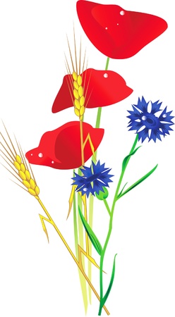 a bouquet of wildflowersのイラスト素材