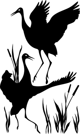 silhouettes of couples cranes that dancing mating danceのイラスト素材
