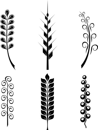 vector set of plant elements spikes isolatedのイラスト素材