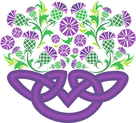 vector image Celtic knot in the form of a basket with flowers thistleのイラスト素材