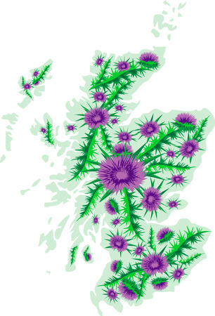 Vector image background map of Scotland with thistle flowersのイラスト素材