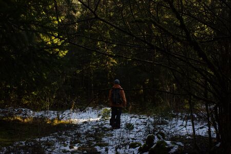 Young person walks through the woods in an orange jacket in winterの写真素材