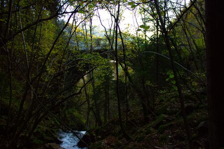 old stone bridge in the middle of the forest below a river passes.の写真素材