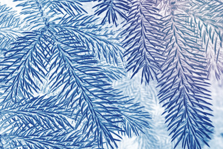 Blurred. Christmas tree in the snow. greeting card. winterの写真素材