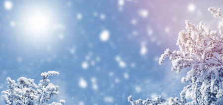 Blurred frozen grass. Winter abstract background. Landscape. outdoorの写真素材