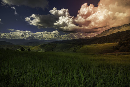 Rice fields on terraced  landscapes.blue sky