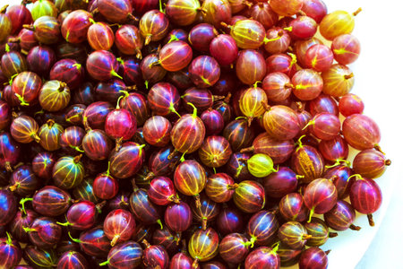 The ripened berries of gooseberries. Natural background.の写真素材