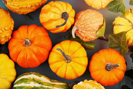 Pumpkins and leaves over pastel background, copy space. Fall harvest thanksgiving halloween...