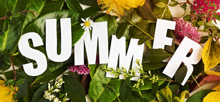 Summer fresh leaves and flowers with paper cut text Summer. Green nature, vacation time banner. Top...