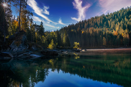 A mirror lake that reflects the forest in itself
