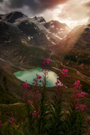 A mountain lake with a red flowerの写真素材