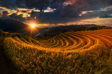 Rice fields on terraced with wooden pavilion at sunset in Mu Cang Chai, YenBai, Vietnam.の写真素材