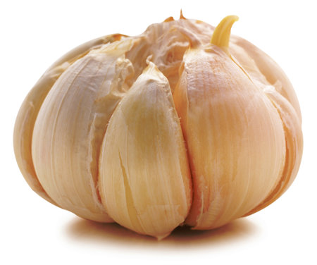 Garlic bulb isolated on white backgroundの写真素材