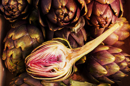 Pile of Purple artichokes ready for cooking. One artichoke is cutの写真素材