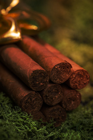 Cuban cigars gift with golden ribbon on natural mossの写真素材