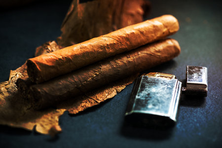 Cuban cigars on tobacco leafs, dark background
