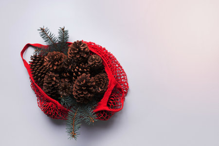 Christmas zero waste decor in red cotton eco bag on grey. Cones and fir tree branches for handmade...