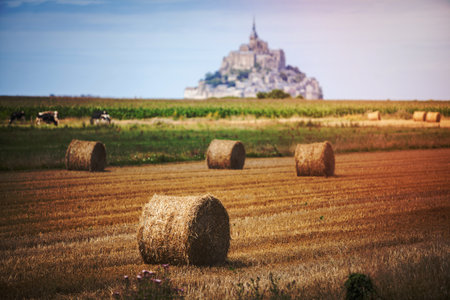 color image of some hay rolls on a field with mont saint michel in the background